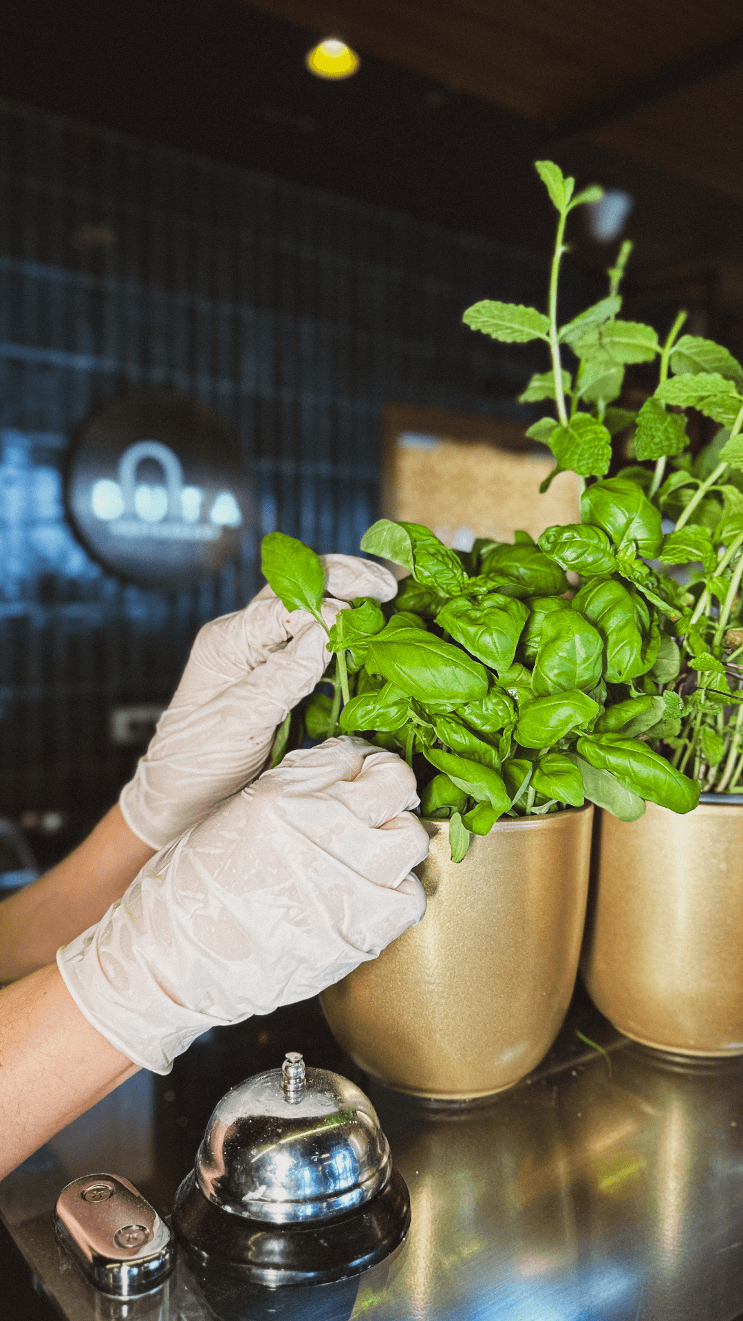Fresh herbs and service detail at Buta.